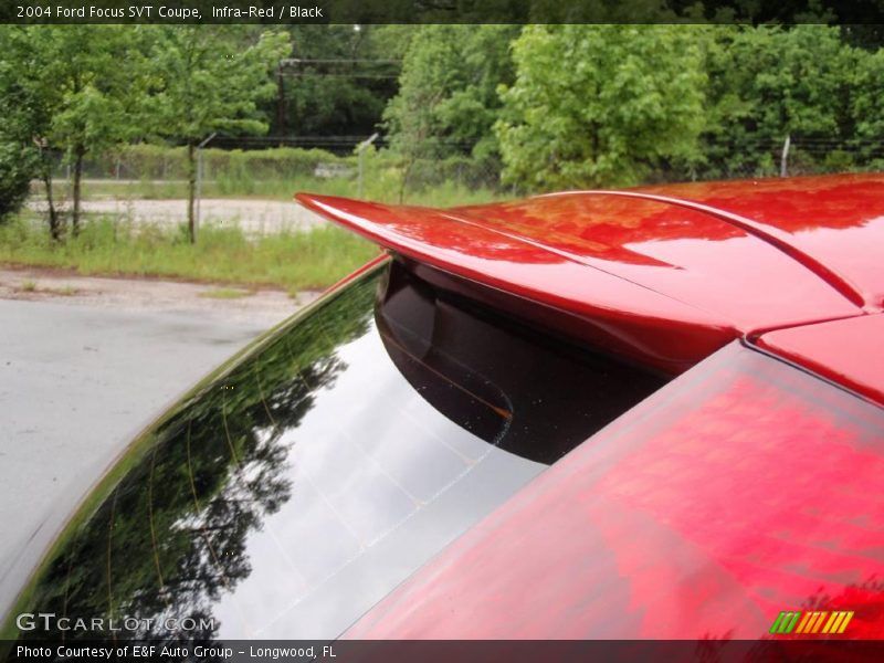 Infra-Red / Black 2004 Ford Focus SVT Coupe