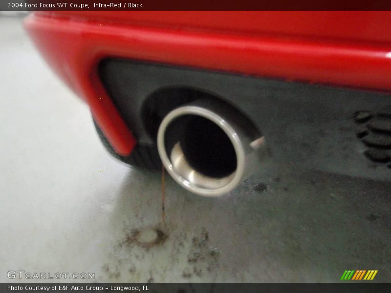 Infra-Red / Black 2004 Ford Focus SVT Coupe