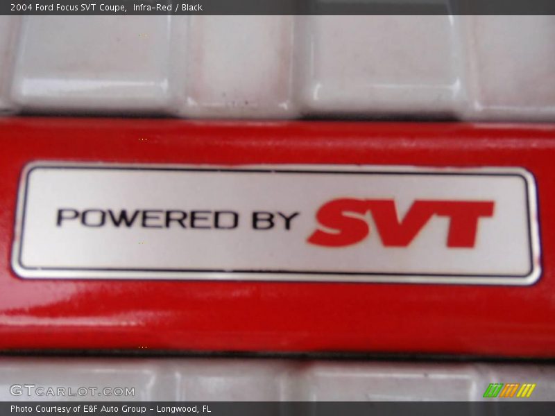 Infra-Red / Black 2004 Ford Focus SVT Coupe