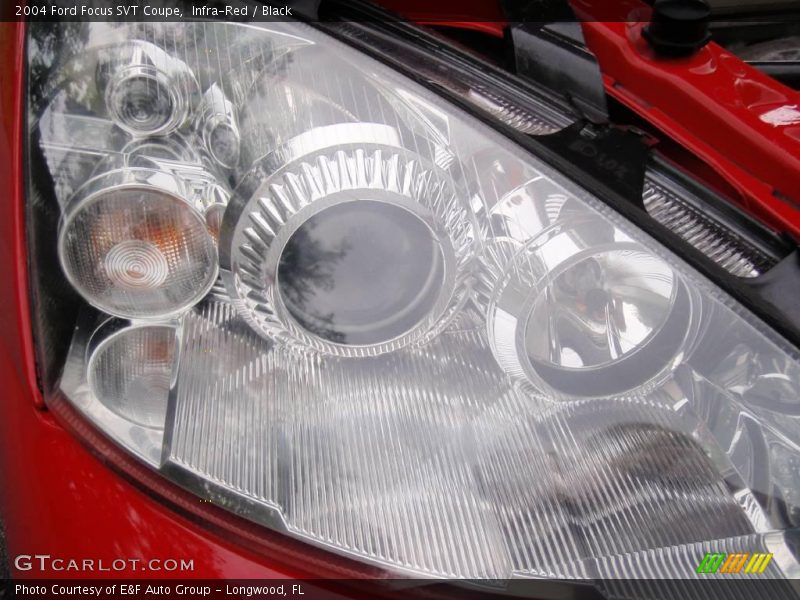 Infra-Red / Black 2004 Ford Focus SVT Coupe