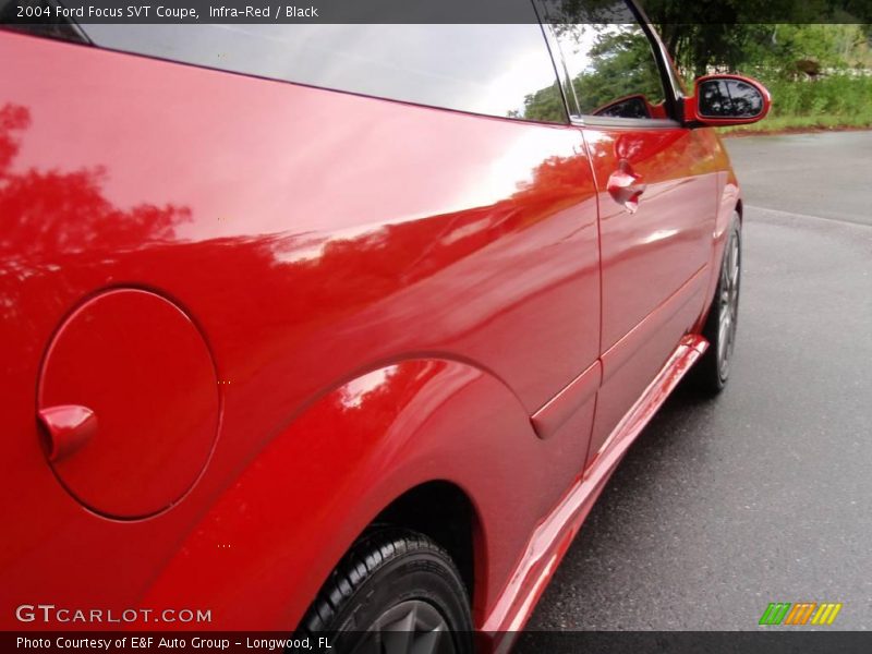 Infra-Red / Black 2004 Ford Focus SVT Coupe