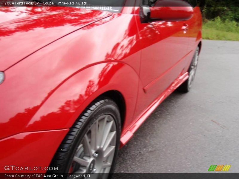Infra-Red / Black 2004 Ford Focus SVT Coupe