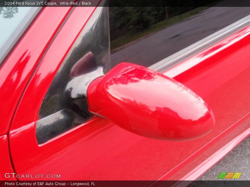 Infra-Red / Black 2004 Ford Focus SVT Coupe