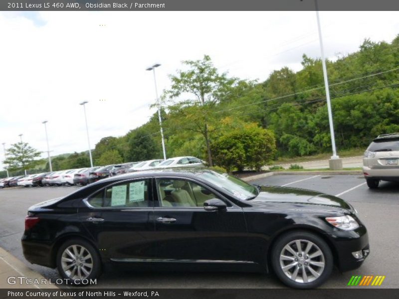 Obsidian Black / Parchment 2011 Lexus LS 460 AWD