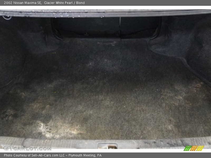 Glacier White Pearl / Blond 2002 Nissan Maxima SE