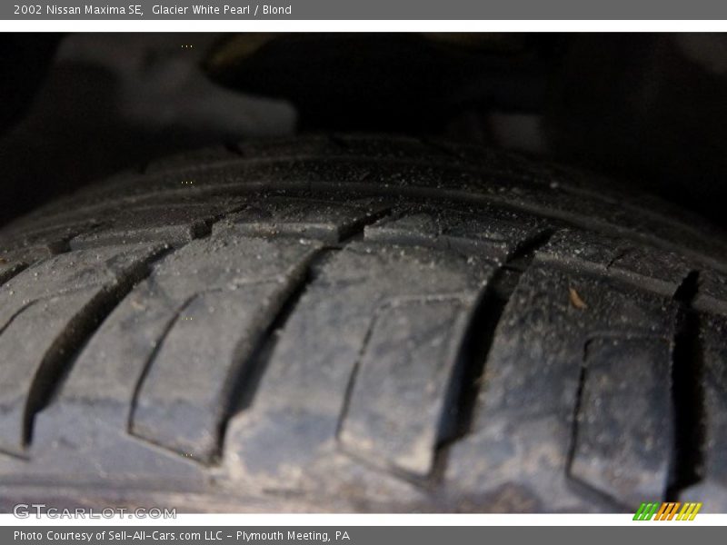 Glacier White Pearl / Blond 2002 Nissan Maxima SE
