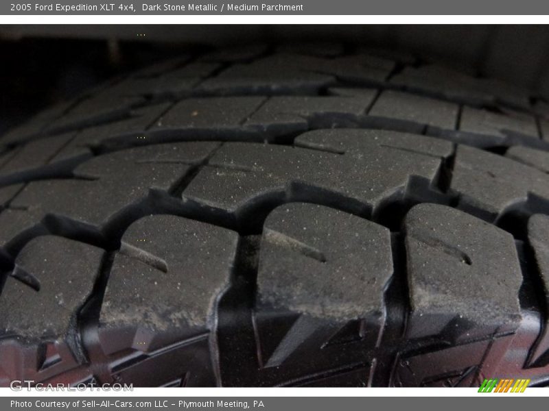 Dark Stone Metallic / Medium Parchment 2005 Ford Expedition XLT 4x4