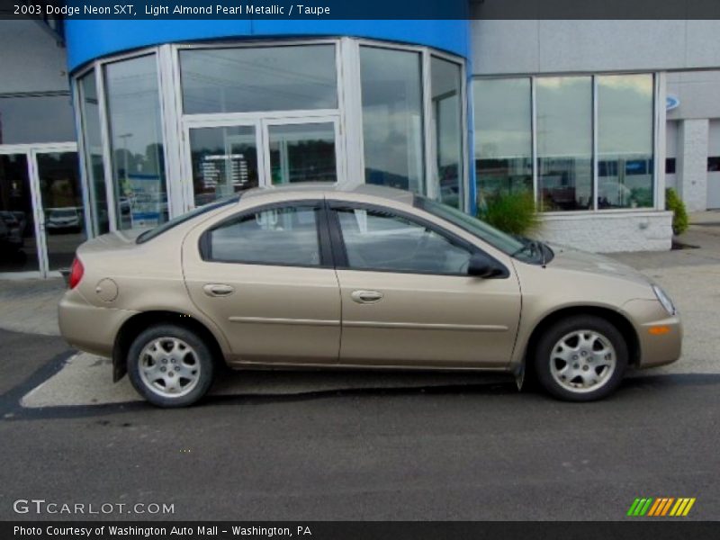 Light Almond Pearl Metallic / Taupe 2003 Dodge Neon SXT