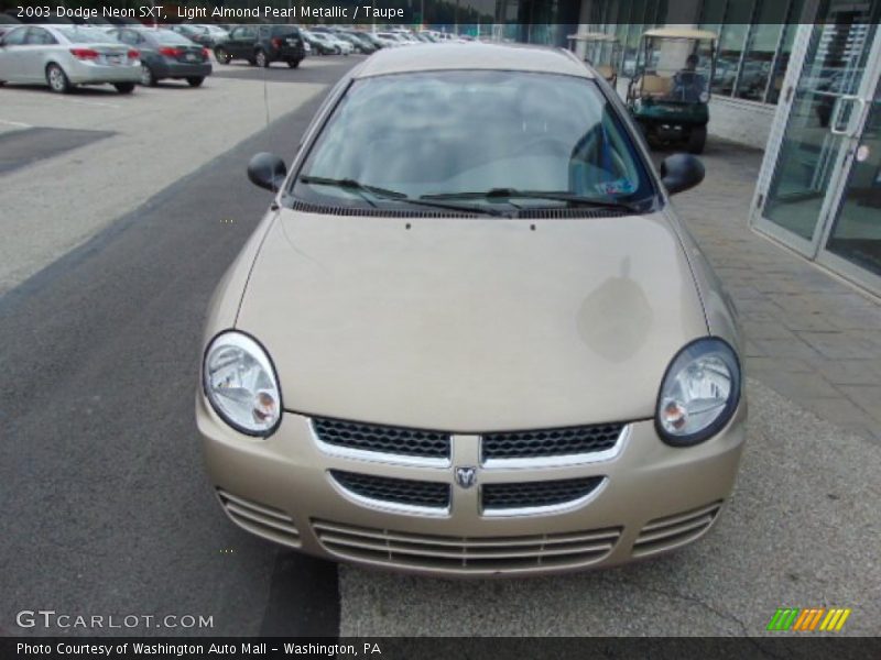 Light Almond Pearl Metallic / Taupe 2003 Dodge Neon SXT
