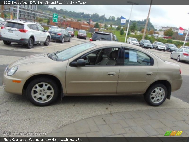 Light Almond Pearl Metallic / Taupe 2003 Dodge Neon SXT