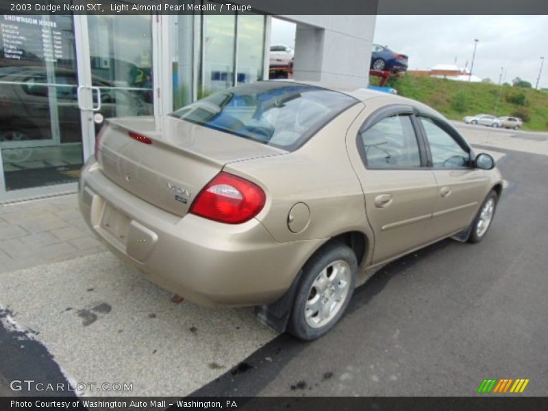 Light Almond Pearl Metallic / Taupe 2003 Dodge Neon SXT