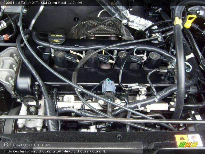 Kiwi Green Metallic / Camel 2008 Ford Escape XLT