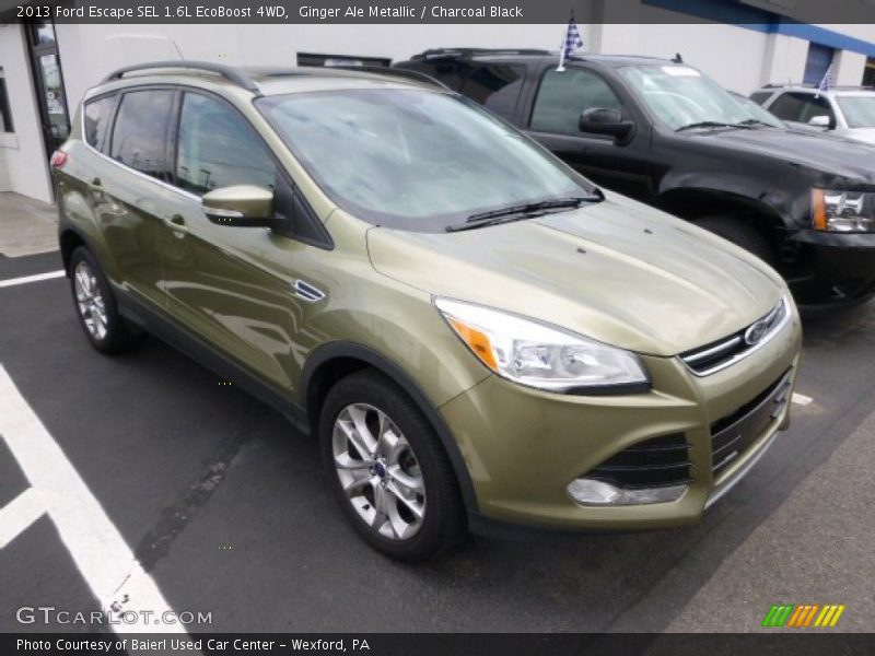 Ginger Ale Metallic / Charcoal Black 2013 Ford Escape SEL 1.6L EcoBoost 4WD