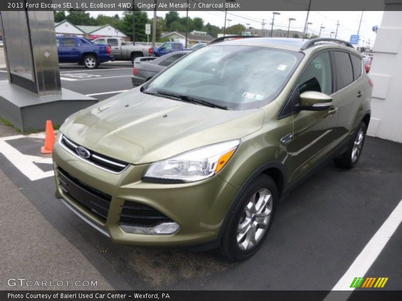 Ginger Ale Metallic / Charcoal Black 2013 Ford Escape SEL 1.6L EcoBoost 4WD