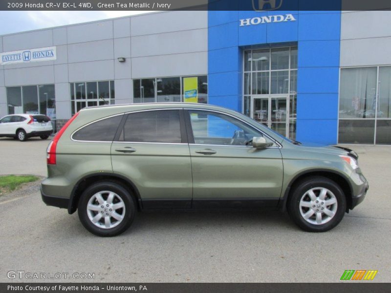 Green Tea Metallic / Ivory 2009 Honda CR-V EX-L 4WD