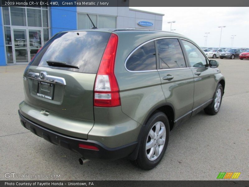 Green Tea Metallic / Ivory 2009 Honda CR-V EX-L 4WD