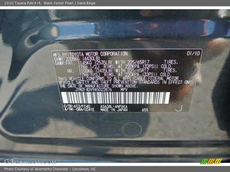 Black Forest Pearl / Sand Beige 2010 Toyota RAV4 I4