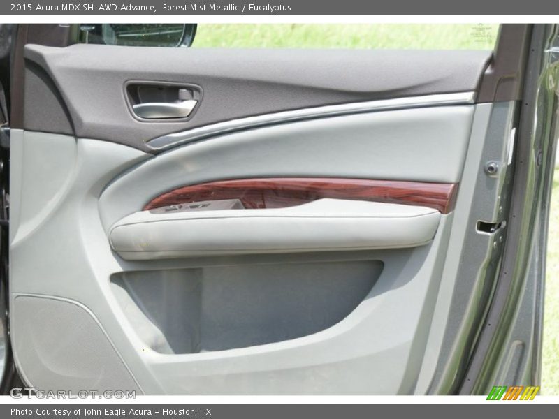 Forest Mist Metallic / Eucalyptus 2015 Acura MDX SH-AWD Advance
