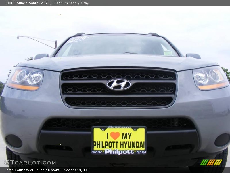 Platinum Sage / Gray 2008 Hyundai Santa Fe GLS