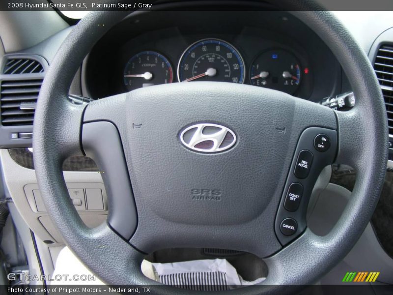 Platinum Sage / Gray 2008 Hyundai Santa Fe GLS