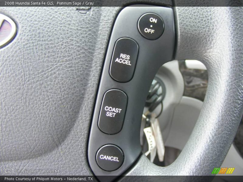 Platinum Sage / Gray 2008 Hyundai Santa Fe GLS