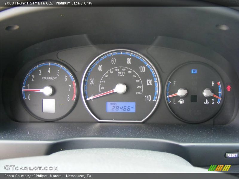 Platinum Sage / Gray 2008 Hyundai Santa Fe GLS