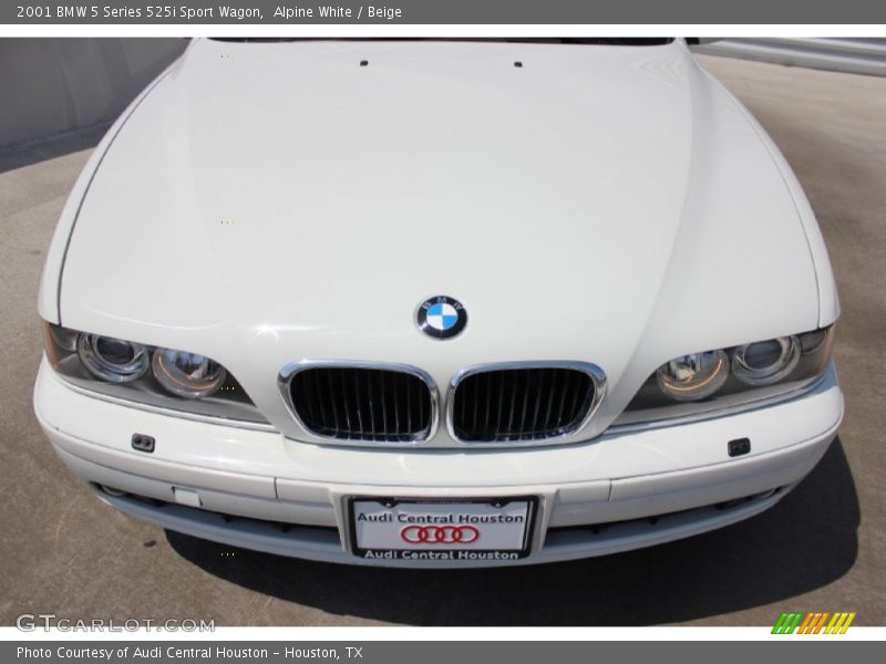 Alpine White / Beige 2001 BMW 5 Series 525i Sport Wagon