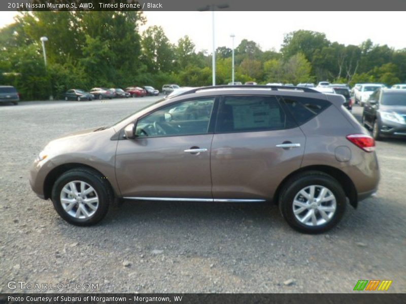 Tinted Bronze / Black 2014 Nissan Murano SL AWD