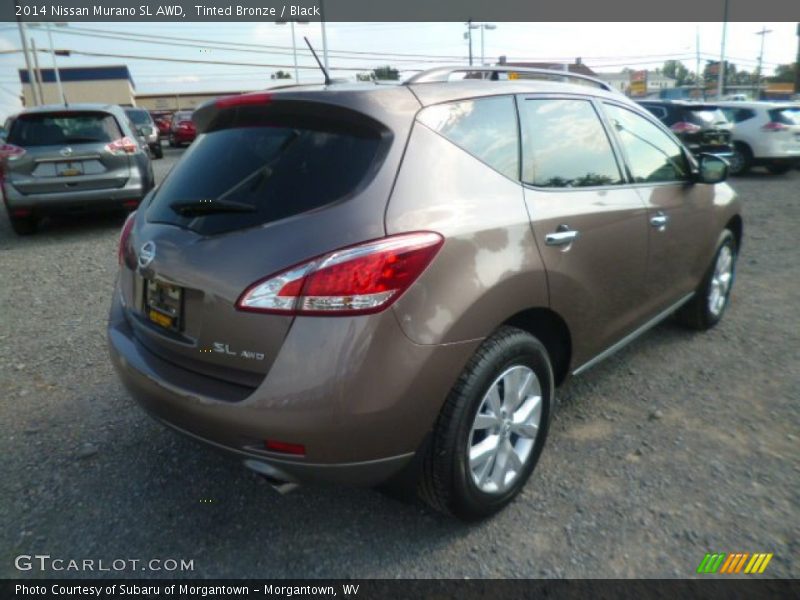 Tinted Bronze / Black 2014 Nissan Murano SL AWD