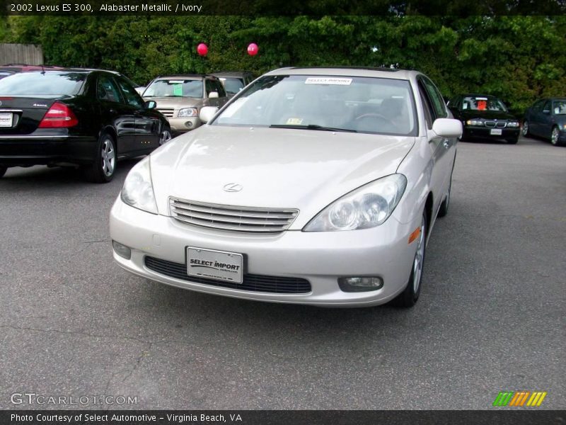 Alabaster Metallic / Ivory 2002 Lexus ES 300