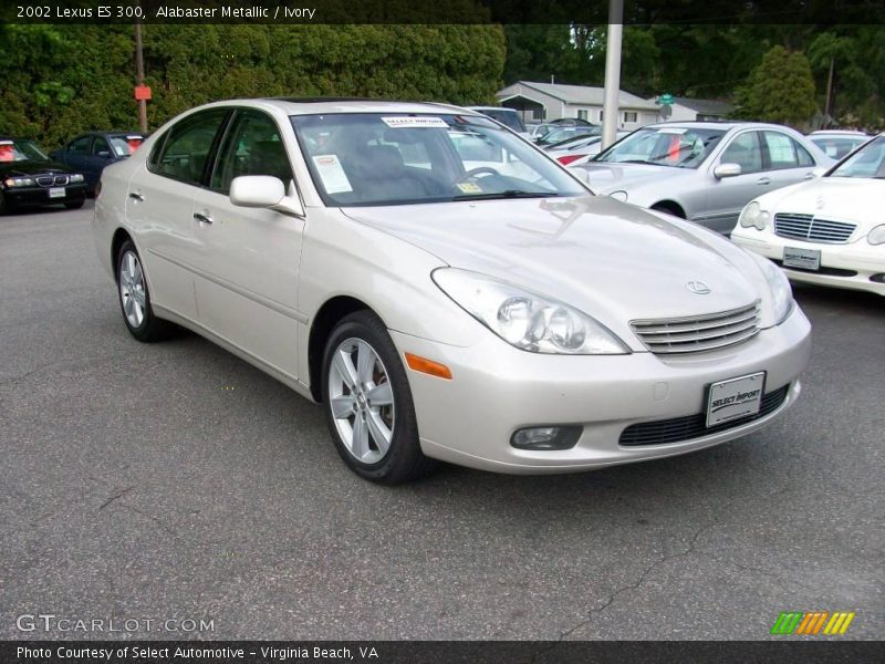 Alabaster Metallic / Ivory 2002 Lexus ES 300