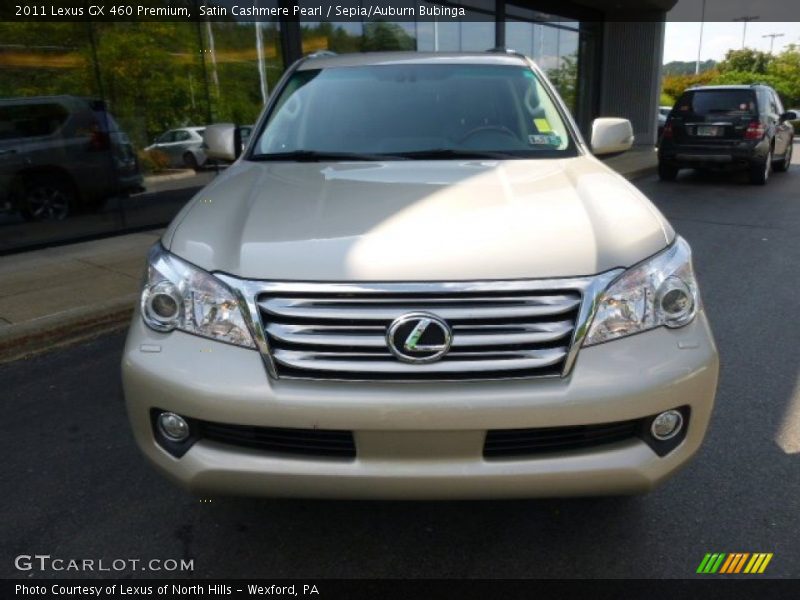 Satin Cashmere Pearl / Sepia/Auburn Bubinga 2011 Lexus GX 460 Premium