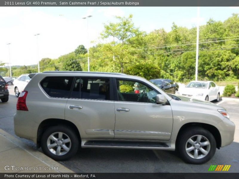 Satin Cashmere Pearl / Sepia/Auburn Bubinga 2011 Lexus GX 460 Premium