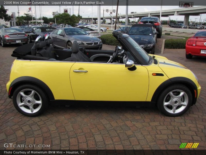 Liquid Yellow / Black/Panther Black 2006 Mini Cooper Convertible