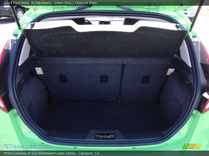 Green Envy / Charcoal Black 2014 Ford Fiesta SE Hatchback