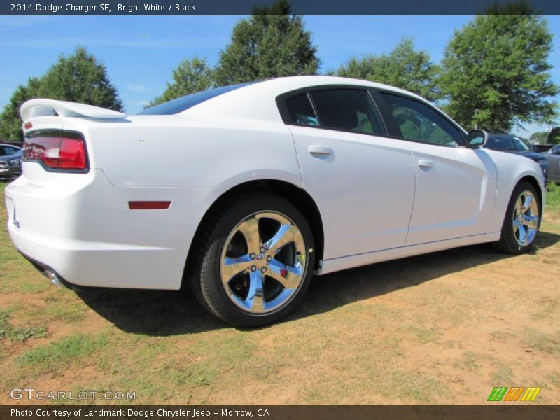 Bright White / Black 2014 Dodge Charger SE