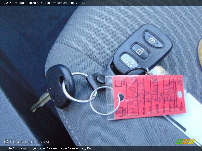 Windy Sea Blue / Gray 2015 Hyundai Elantra SE Sedan