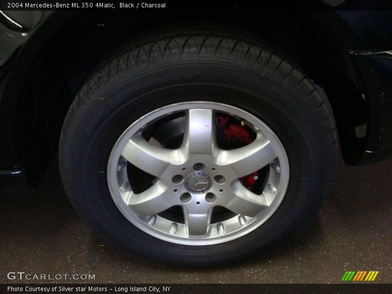 Black / Charcoal 2004 Mercedes-Benz ML 350 4Matic