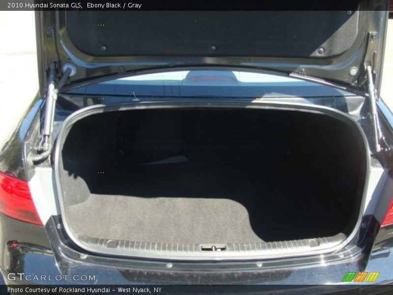Ebony Black / Gray 2010 Hyundai Sonata GLS
