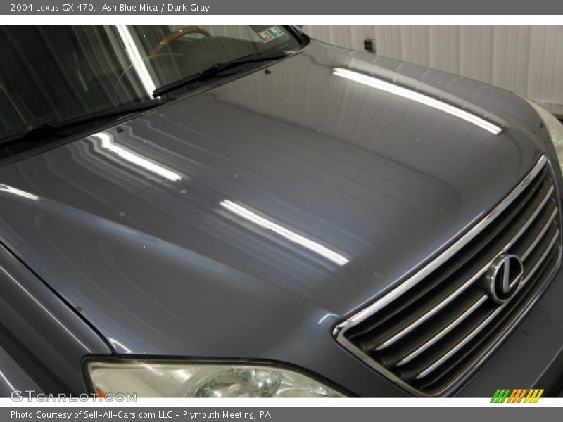 Ash Blue Mica / Dark Gray 2004 Lexus GX 470