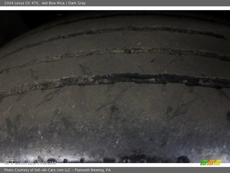 Ash Blue Mica / Dark Gray 2004 Lexus GX 470