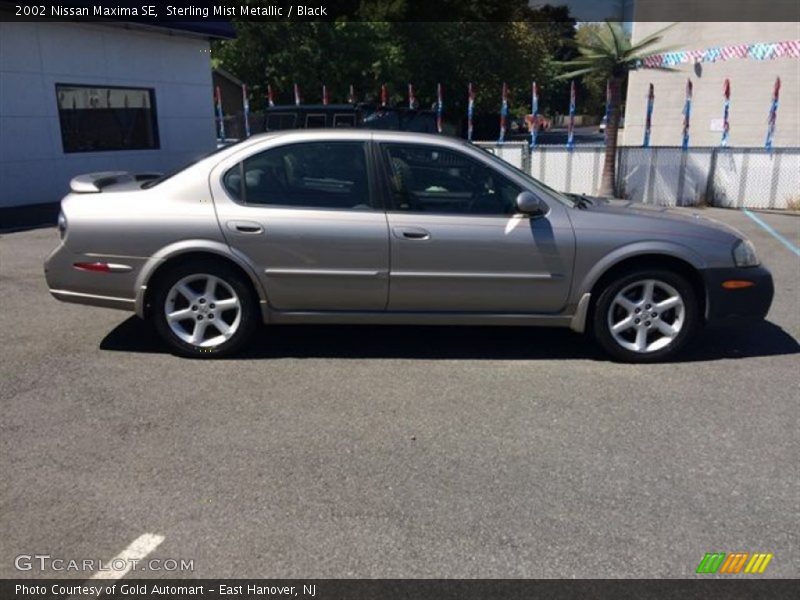 Sterling Mist Metallic / Black 2002 Nissan Maxima SE