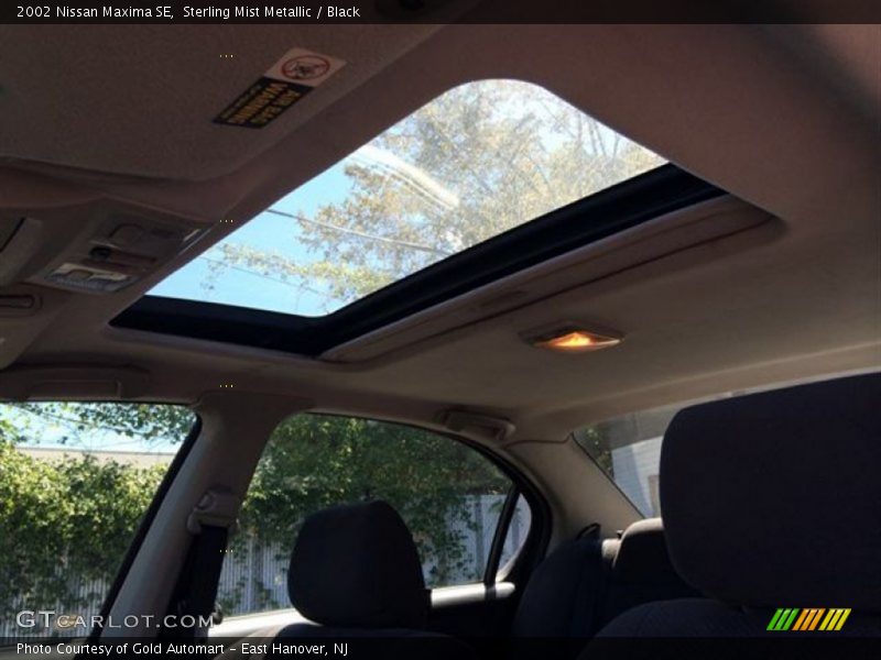 Sterling Mist Metallic / Black 2002 Nissan Maxima SE