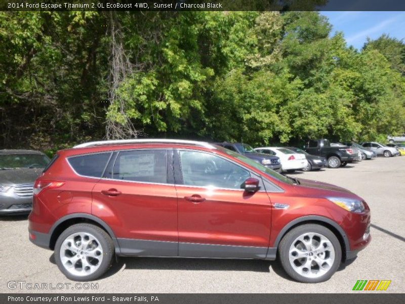 Sunset / Charcoal Black 2014 Ford Escape Titanium 2.0L EcoBoost 4WD
