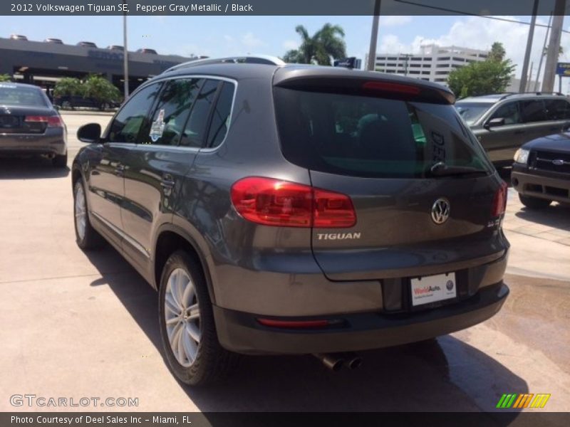 Pepper Gray Metallic / Black 2012 Volkswagen Tiguan SE