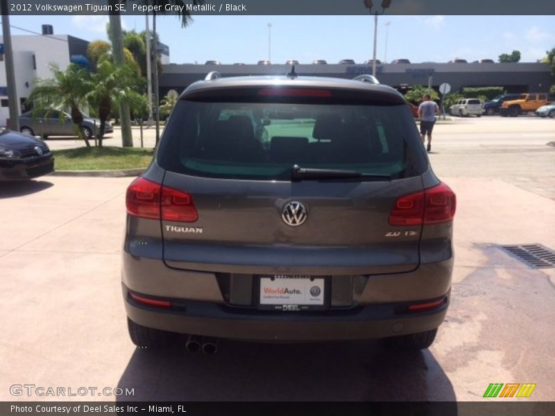 Pepper Gray Metallic / Black 2012 Volkswagen Tiguan SE