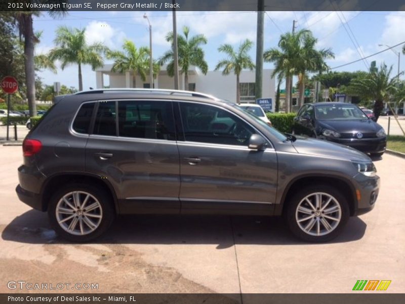 Pepper Gray Metallic / Black 2012 Volkswagen Tiguan SE