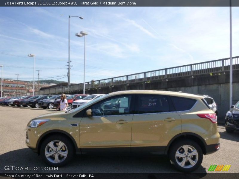 Karat Gold / Medium Light Stone 2014 Ford Escape SE 1.6L EcoBoost 4WD
