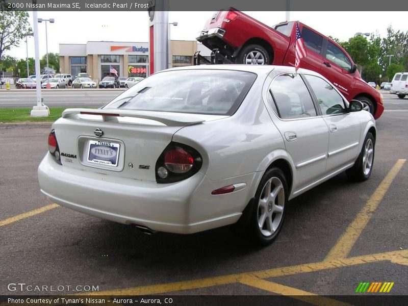 Icelandic Pearl / Frost 2000 Nissan Maxima SE