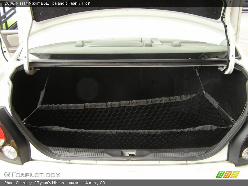 Icelandic Pearl / Frost 2000 Nissan Maxima SE